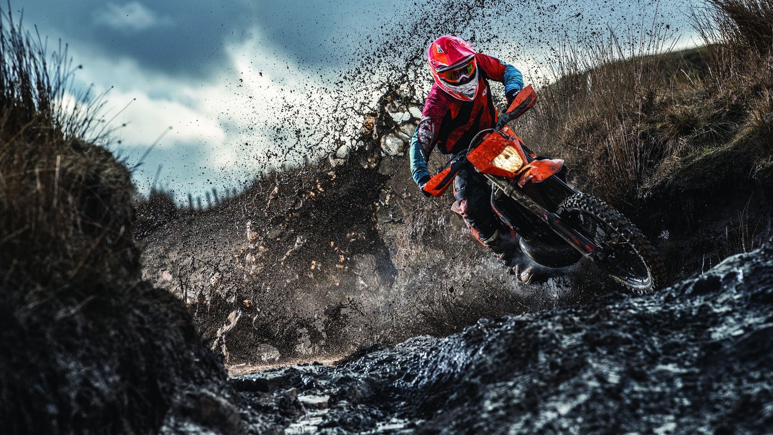 欧博官网会员-Scout关键节点精彩发挥，法国队带队取胜！